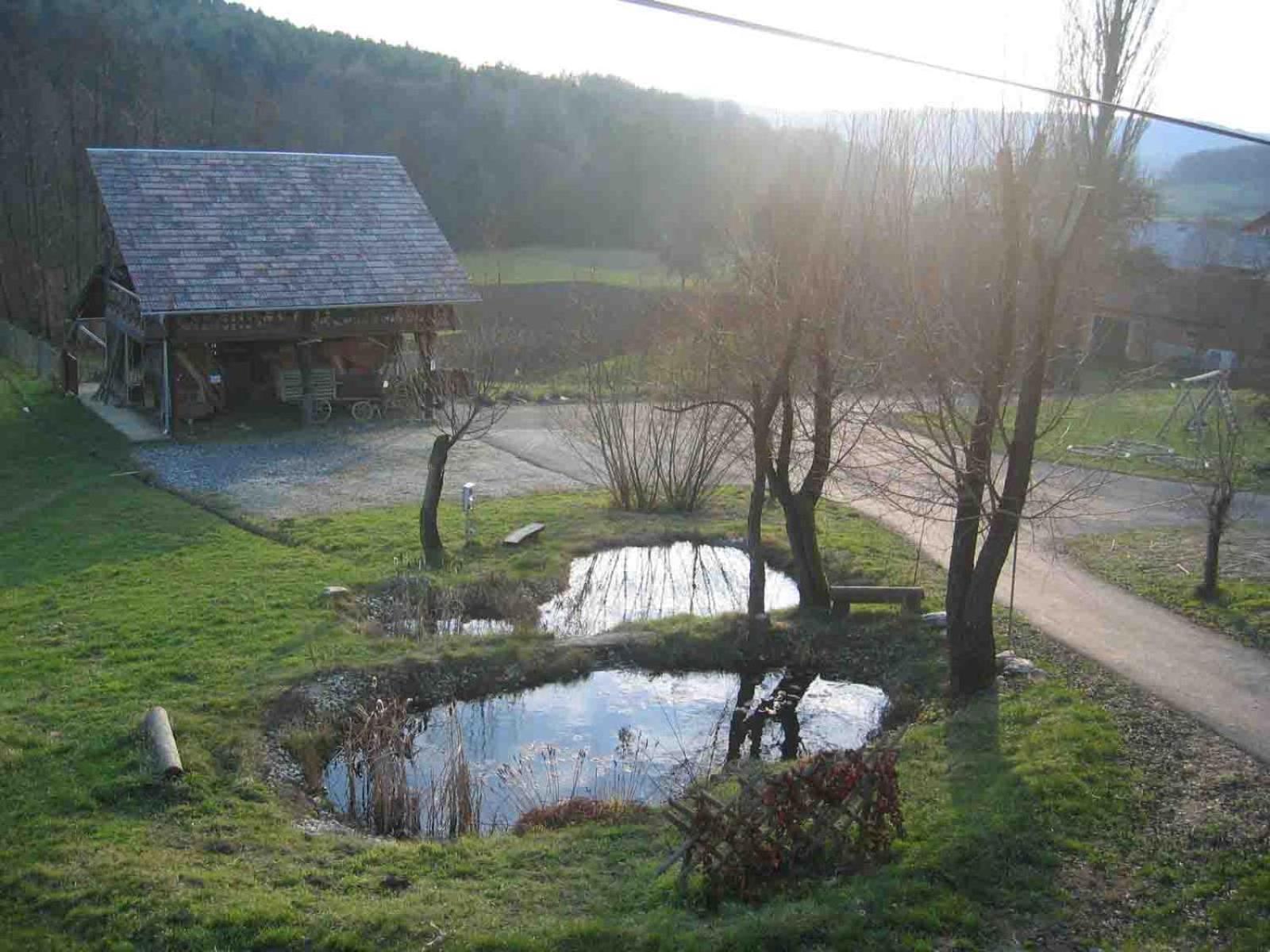 Turisticna Kmetija Cebelji Gradic Apartment Rogašovci Exterior foto