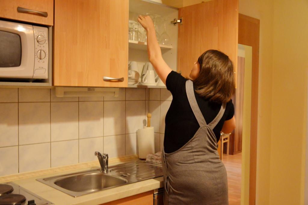 Turisticna Kmetija Cebelji Gradic Apartment Rogašovci Exterior foto